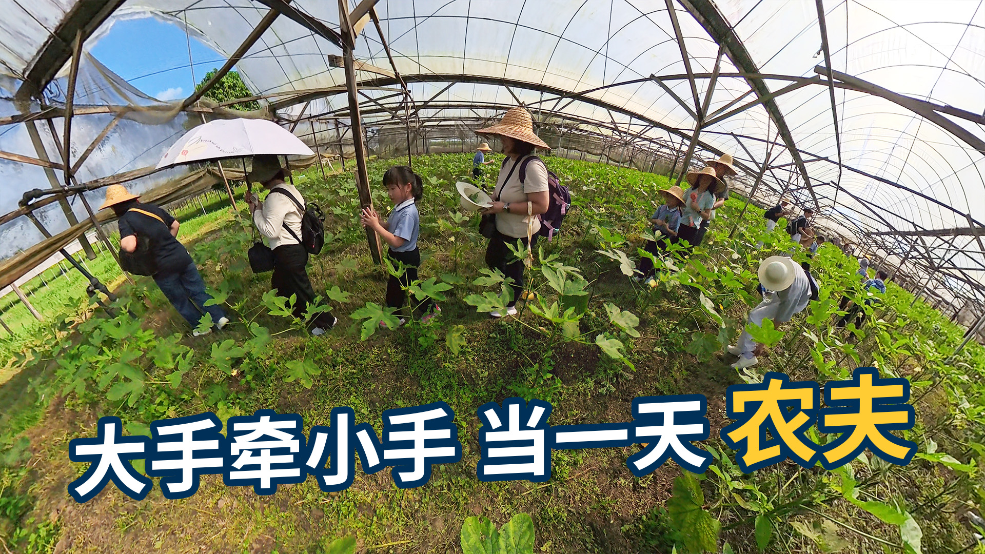 Hand in Hand, Spending a Day as Farmers